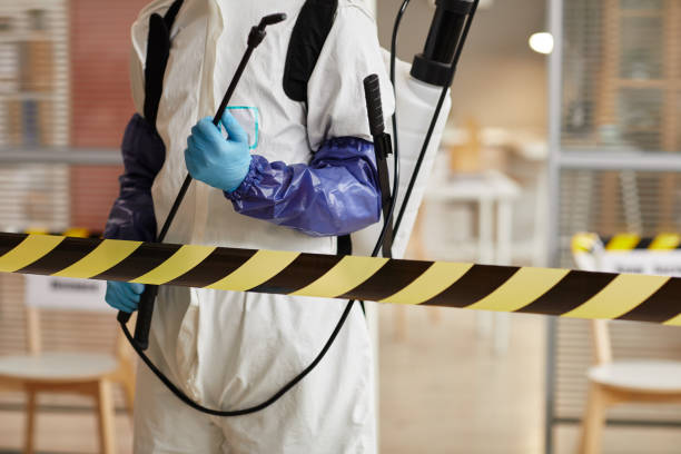 Professional Sewage Cleanup technician working in Paris, MO